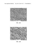 ELECTROSPUN PTFE COATED STENT AND METHOD OF USE diagram and image