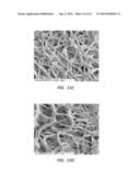 ELECTROSPUN PTFE COATED STENT AND METHOD OF USE diagram and image