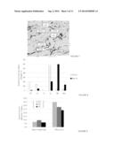 COATING COMPOSITIONS diagram and image