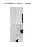 COATING COMPOSITIONS diagram and image