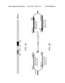 BRUCELLA PHAGE POLYNUCLEOTIDES AND USES THEREOF diagram and image