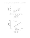 Telomere Length Measurement in Formalin-Fixed, Paraffin Embedded (FFPE)     Samples by Quantitative PCR diagram and image