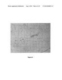 Magnetically Induced Microspinning for Super-Detection and     Super-Characterization of Biomarkers and Live Cells diagram and image