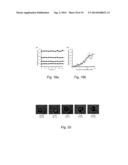 Magnetically Induced Microspinning for Super-Detection and     Super-Characterization of Biomarkers and Live Cells diagram and image