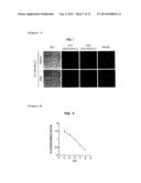 ACIDIC ENVIRONMENT-DETECTING FLUORESCENT PROBE diagram and image