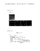 ACIDIC ENVIRONMENT-DETECTING FLUORESCENT PROBE diagram and image