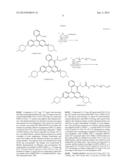 ACIDIC ENVIRONMENT-DETECTING FLUORESCENT PROBE diagram and image