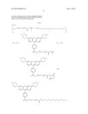 ACIDIC ENVIRONMENT-DETECTING FLUORESCENT PROBE diagram and image