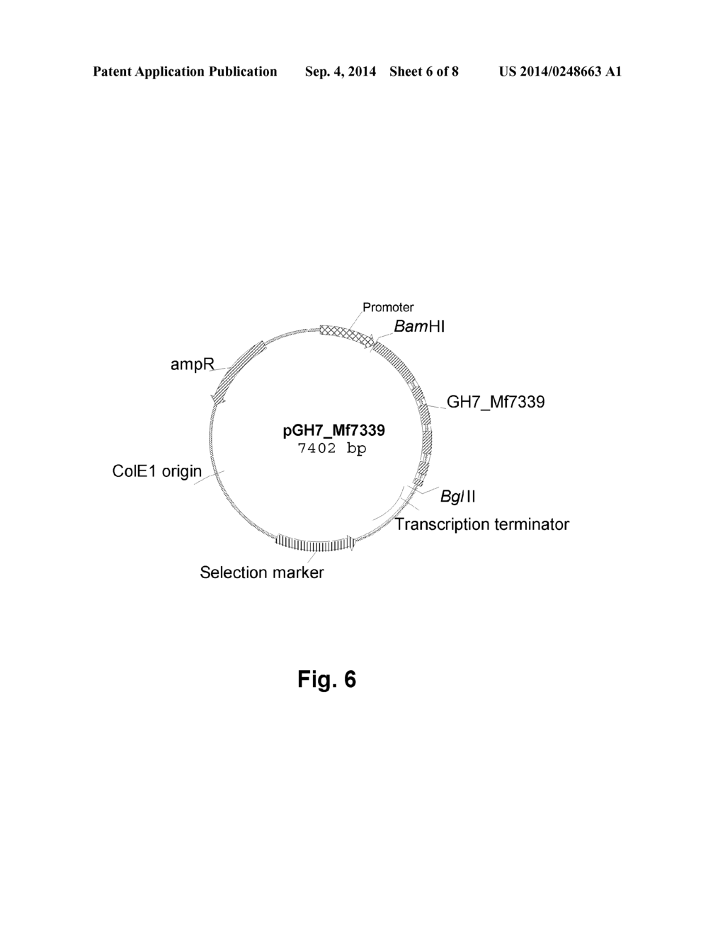 Polypeptides Having Cellobiohydrolase Activity and Polynucleotides     Encoding  Same - diagram, schematic, and image 07