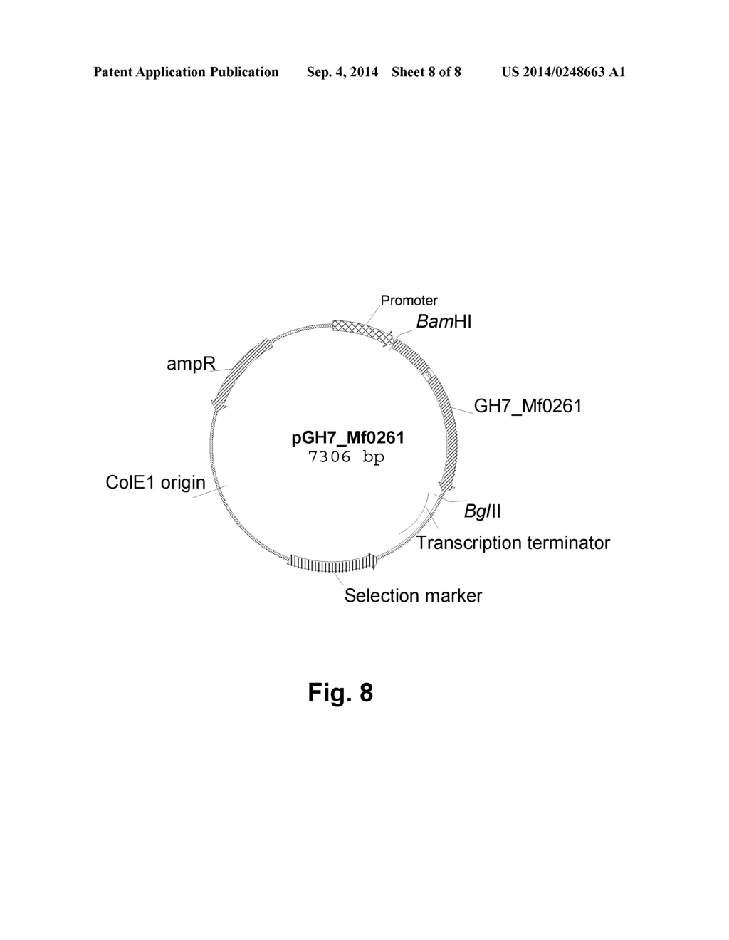 Polypeptides Having Cellobiohydrolase Activity and Polynucleotides     Encoding  Same - diagram, schematic, and image 09