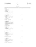 RECOMBINANT MICROORGANISM FOR THE PRODUCTION OF USEFUL METABOLITES diagram and image