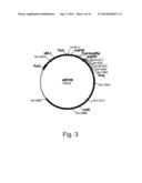 METHODS OF INCREASING SECRETION OF POLYPEPTIDES HAVING BIOLOGICAL ACTIVITY diagram and image