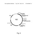 METHODS OF INCREASING SECRETION OF POLYPEPTIDES HAVING BIOLOGICAL ACTIVITY diagram and image