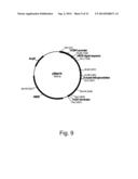 METHODS OF INCREASING SECRETION OF POLYPEPTIDES HAVING BIOLOGICAL ACTIVITY diagram and image