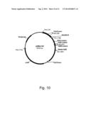 METHODS OF INCREASING SECRETION OF POLYPEPTIDES HAVING BIOLOGICAL ACTIVITY diagram and image