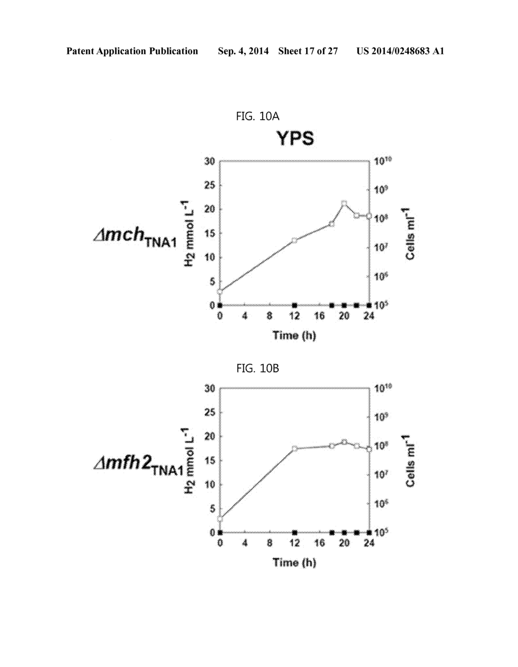 Hydrogenase isolated from Thermococcus spp - diagram, schematic, and image 18