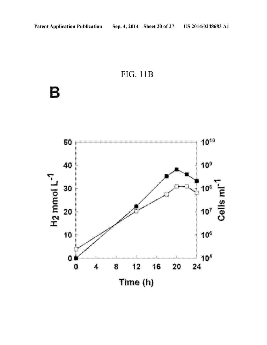 Hydrogenase isolated from Thermococcus spp - diagram, schematic, and image 21