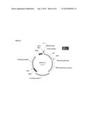 DCX MINI-PROMOTERS diagram and image