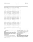 DCX MINI-PROMOTERS diagram and image