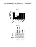 NOVEL USE OF LEUCYL TRNA SYNTHETASE diagram and image