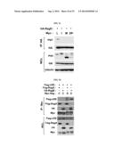 NOVEL USE OF LEUCYL TRNA SYNTHETASE diagram and image