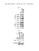 NOVEL USE OF LEUCYL TRNA SYNTHETASE diagram and image