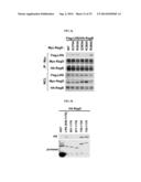 NOVEL USE OF LEUCYL TRNA SYNTHETASE diagram and image