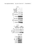 NOVEL USE OF LEUCYL TRNA SYNTHETASE diagram and image