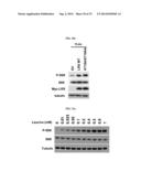 NOVEL USE OF LEUCYL TRNA SYNTHETASE diagram and image