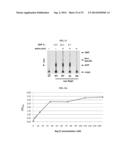 NOVEL USE OF LEUCYL TRNA SYNTHETASE diagram and image