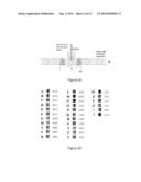 METHOD AND DEVICE FOR THE MANIPULATION OF MICROCARRIERS FOR AN     IDENTIFICATION PURPOSE diagram and image