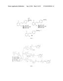 STILBENE ANALOGS AND METHODS OF TREATING CANCER diagram and image