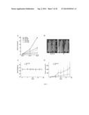 STILBENE ANALOGS AND METHODS OF TREATING CANCER diagram and image