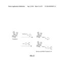 NANOPARTICLES STABILIZED WITH NITROPHENYLBORONIC ACID COMPOSITIONS diagram and image