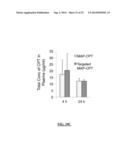 NANOPARTICLES STABILIZED WITH NITROPHENYLBORONIC ACID COMPOSITIONS diagram and image