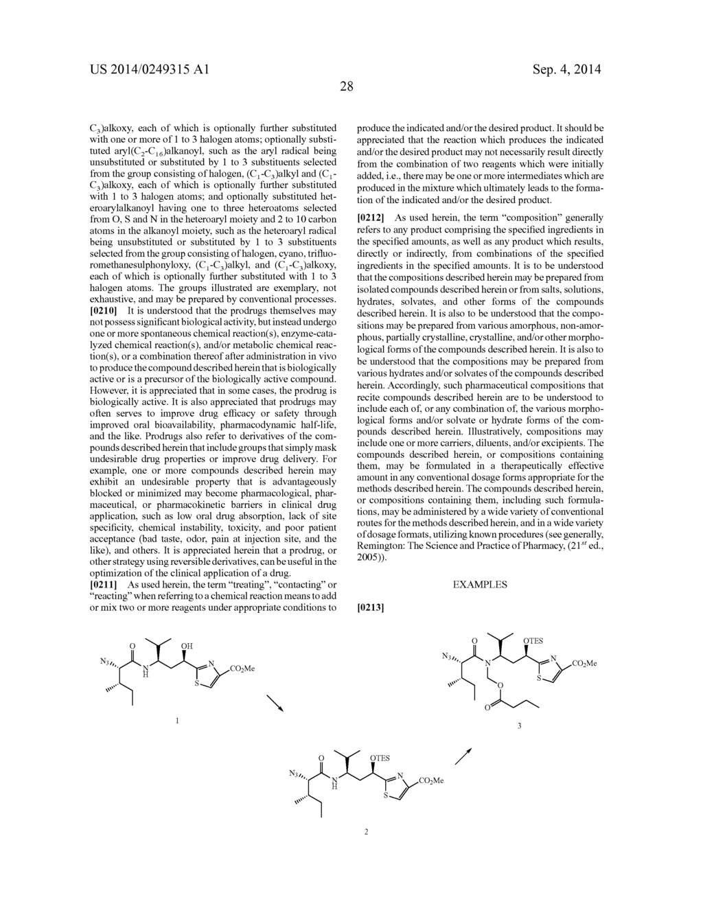 PROCESSES FOR PREPARING TUBULYSINS - diagram, schematic, and image 29