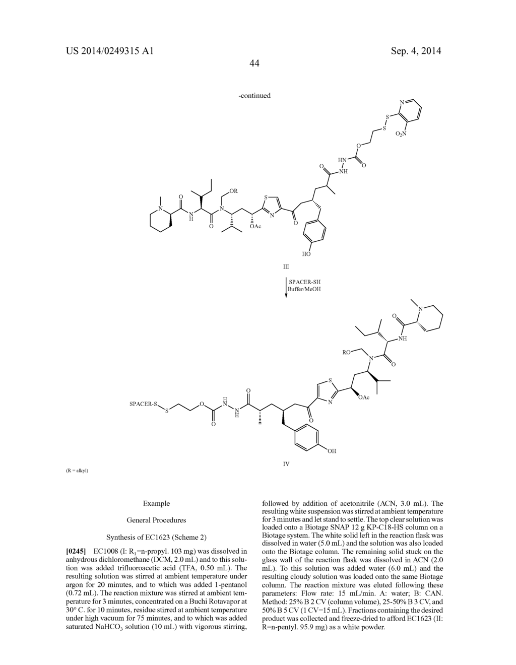 PROCESSES FOR PREPARING TUBULYSINS - diagram, schematic, and image 45