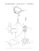 HEADBAND, HEADGEAR, AND ELECTROENCEPHALOGRAPHIC APPARATUS diagram and image