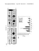 IMAGING AGENTS FOR IMAGING PROTEASE ACTIVITY AND USES THEREOF diagram and image