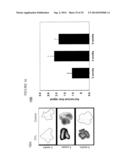 IMAGING AGENTS FOR IMAGING PROTEASE ACTIVITY AND USES THEREOF diagram and image