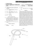 CATHETER HAVING CIRCULAR ABLATION ASSEMBLY diagram and image