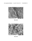 ELECTROSPUN PTFE COATED STENT AND METHOD OF USE diagram and image