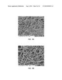 ELECTROSPUN PTFE COATED STENT AND METHOD OF USE diagram and image