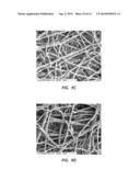 ELECTROSPUN PTFE COATED STENT AND METHOD OF USE diagram and image