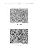 ELECTROSPUN PTFE COATED STENT AND METHOD OF USE diagram and image