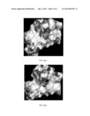 METHOD OF EXPLORING THE FLEXIBILITY OF MACROMOLECULAR TARGETS AND ITS USE     IN RATIONAL DRUG DESIGN diagram and image