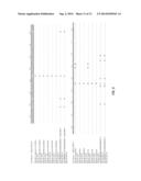 ACETYL CO-ENZYME A CARBOXYLASE HERBICIDE RESISTANT PLANTS diagram and image