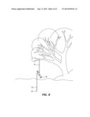 Limb Line Fishing Device diagram and image