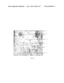 PROCESS FOR REMOVING CONTAMINANTS FROM POLYMERIC POWDERS diagram and image