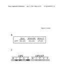 PLANTS WITH DECREASED ACTIVITY OF A STARCH DEPHOSPHORYLATING ENZYME diagram and image